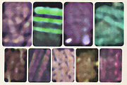ACID PRINTER TEXTURE PACK, a Texture Graphic by Textexp (Thumbnail 5 of 10)