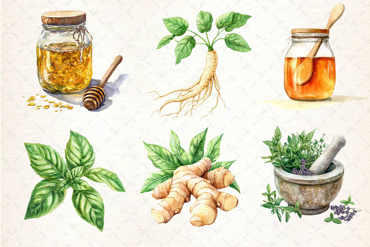 Watercolor Natural Remedies Clipart, an Illustration by Dream Creation (Photo 5 of 5)