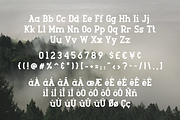 Sale 40% OFF - Roger Serif, a Serif Font by FactoryType Studio (Thumbnail 5 of 5)