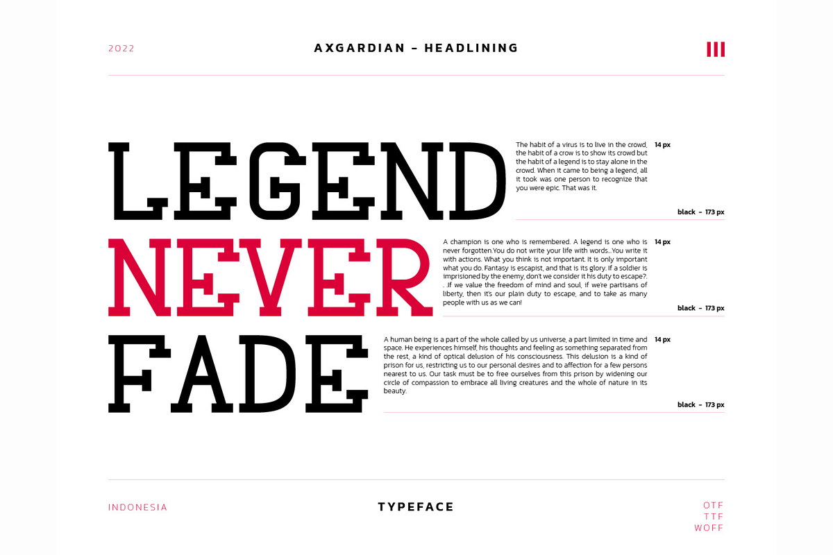 Axgardian Display Font, a Serif Font by infernostudio3 (Photo 13 of 16)
