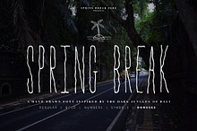 Spring Break Font + Bonus Graphics