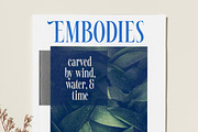 Awesome Shorten Tall Serif Display, a Serif Font by timelesstype.co (Thumbnail 15 of 20)