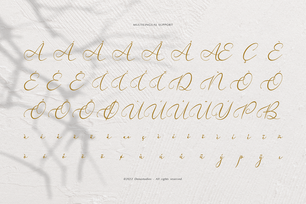 Velocity Romantica Calligraphy Font, a Script Font by Denustudios (Photo 12 of 12)