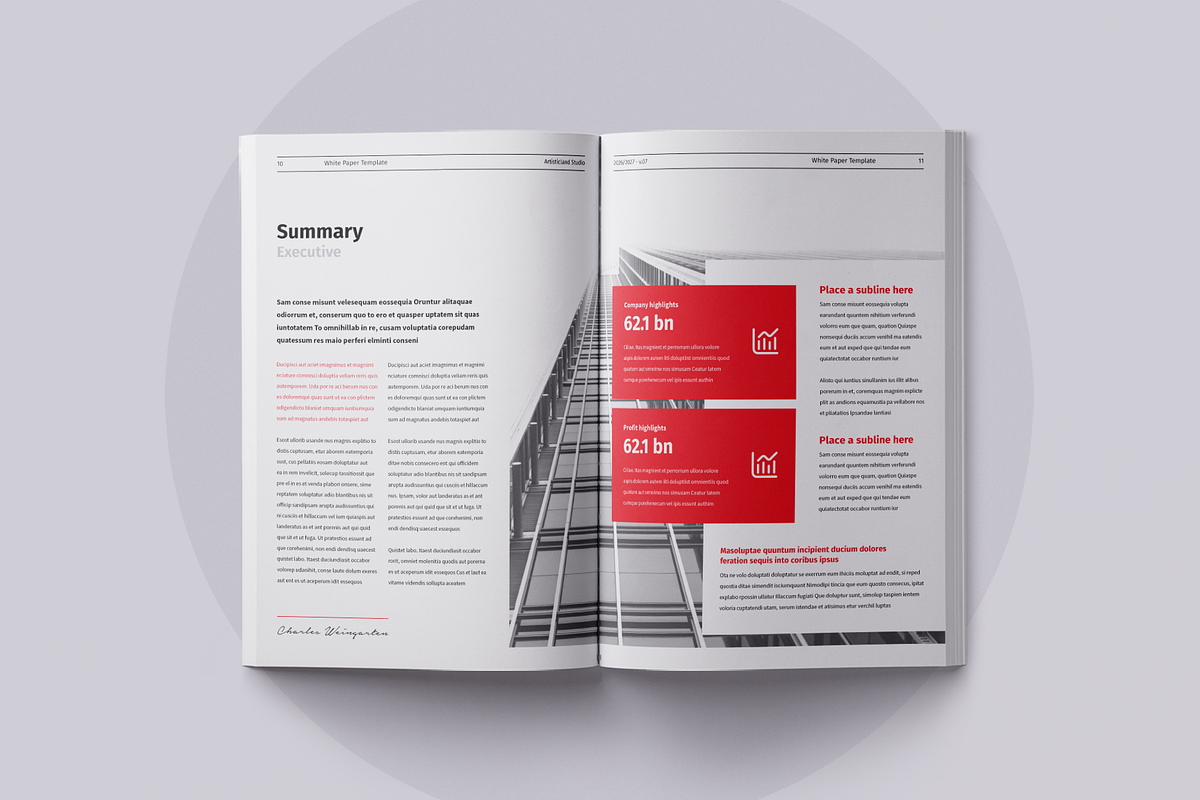 White Paper | Canva, Word, PPTX, InD, a Brochure Template by ArtisticLand (Photo 4 of 9)