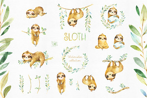 Sloth & Family Collection