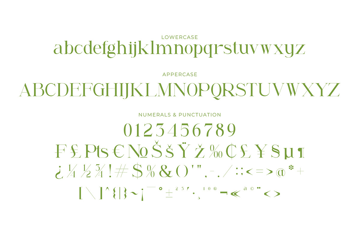 Renabyl - Serif Family Font, a Serif Font by Rishsketch (Photo 4 of 15)