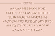 Qaligo | Elegant Serif Font, a Serif Font by Youthlabs Studio (Thumbnail 16 of 18)