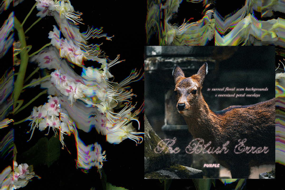 The Blush Error - Floral Backgrounds, a Wallpaper Graphic by Purple (Photo 2 of 12)