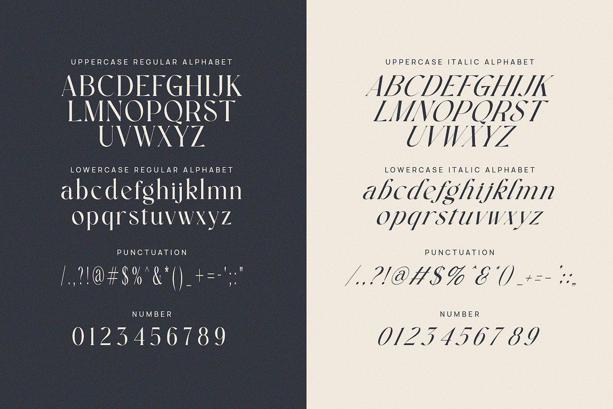 Alsgina Cheska Family Elegant Serif, a Serif Font by Graphicxell (Photo 8 of 8)