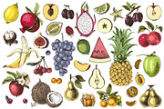 Natural food BUNDLE, a Food Illustration by handsketched (Thumbnail 10 of 26)