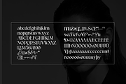 Qelvora Serif Font Family, a Serif Font by artisans (Thumbnail 7 of 7)