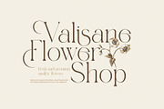Hident Elegant Serif Display Font, a Serif Font by Graphicxell (Thumbnail 4 of 8)