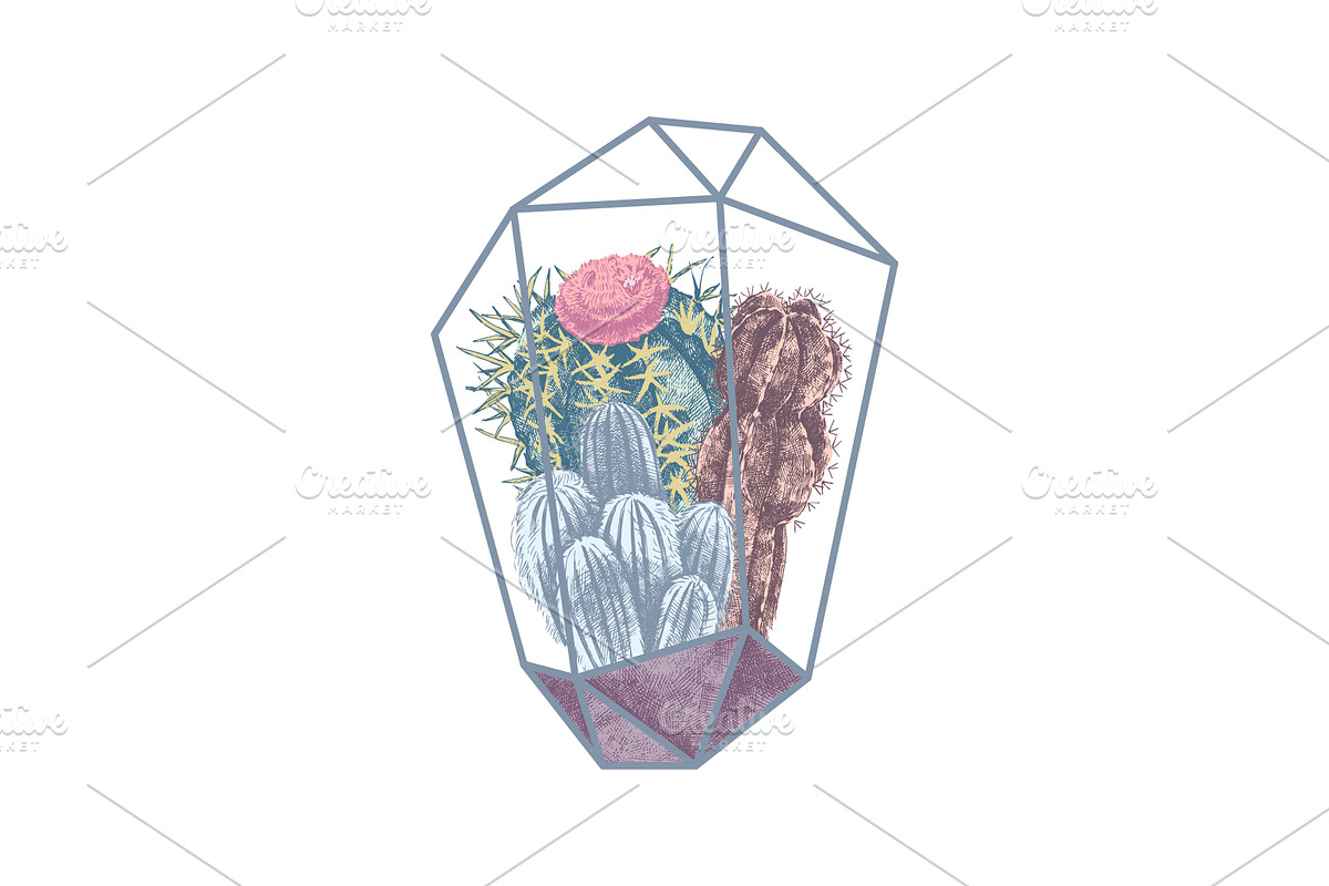 Cactuses and succulents collection, a Decorative Illustration by handsketched (Photo 6 of 7)