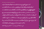 Magnetic Playback Handbrush Script, a Script Font by stylishtype.co (Thumbnail 13 of 15)