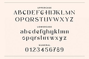 Marsela - Elegant Serif Font, a Serif Font by Typefactoryco (Thumbnail 2 of 8)