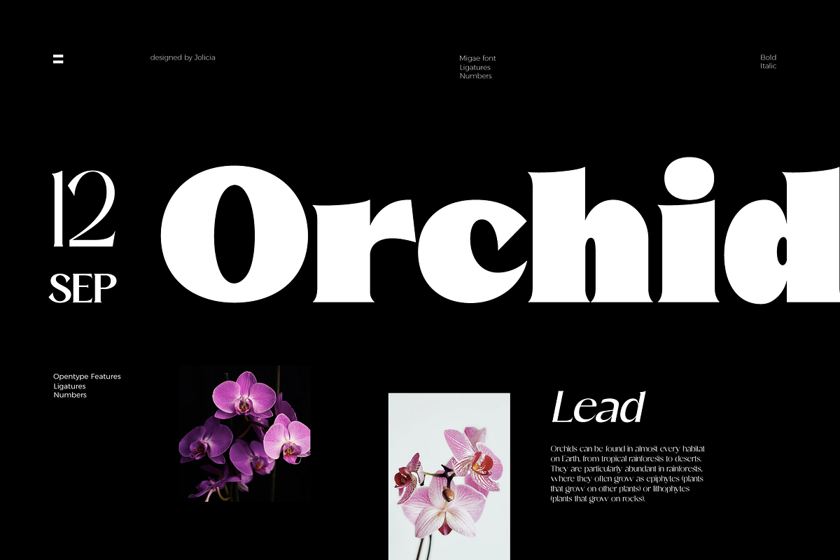 Migae | Display Font, a Serif Font by Jolicia Type (Photo 6 of 10)