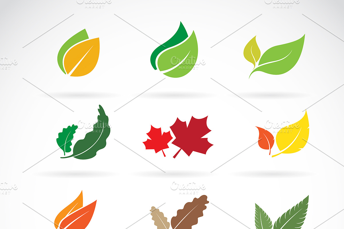 Set of color autumn fallen leaves., an Icon by yod67