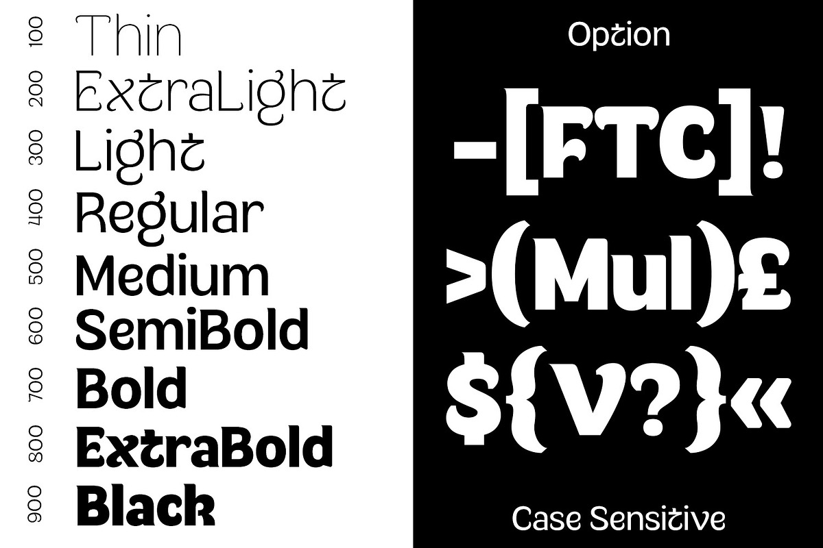 Multum - Distinctive Bold Sans, a Sans Serif Font by Fridaytype (Photo 5 of 12)