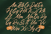 Pluretta Vintage Modern Brush Font, a Serif Font by Letterena Studios Script (Thumbnail 14 of 20)