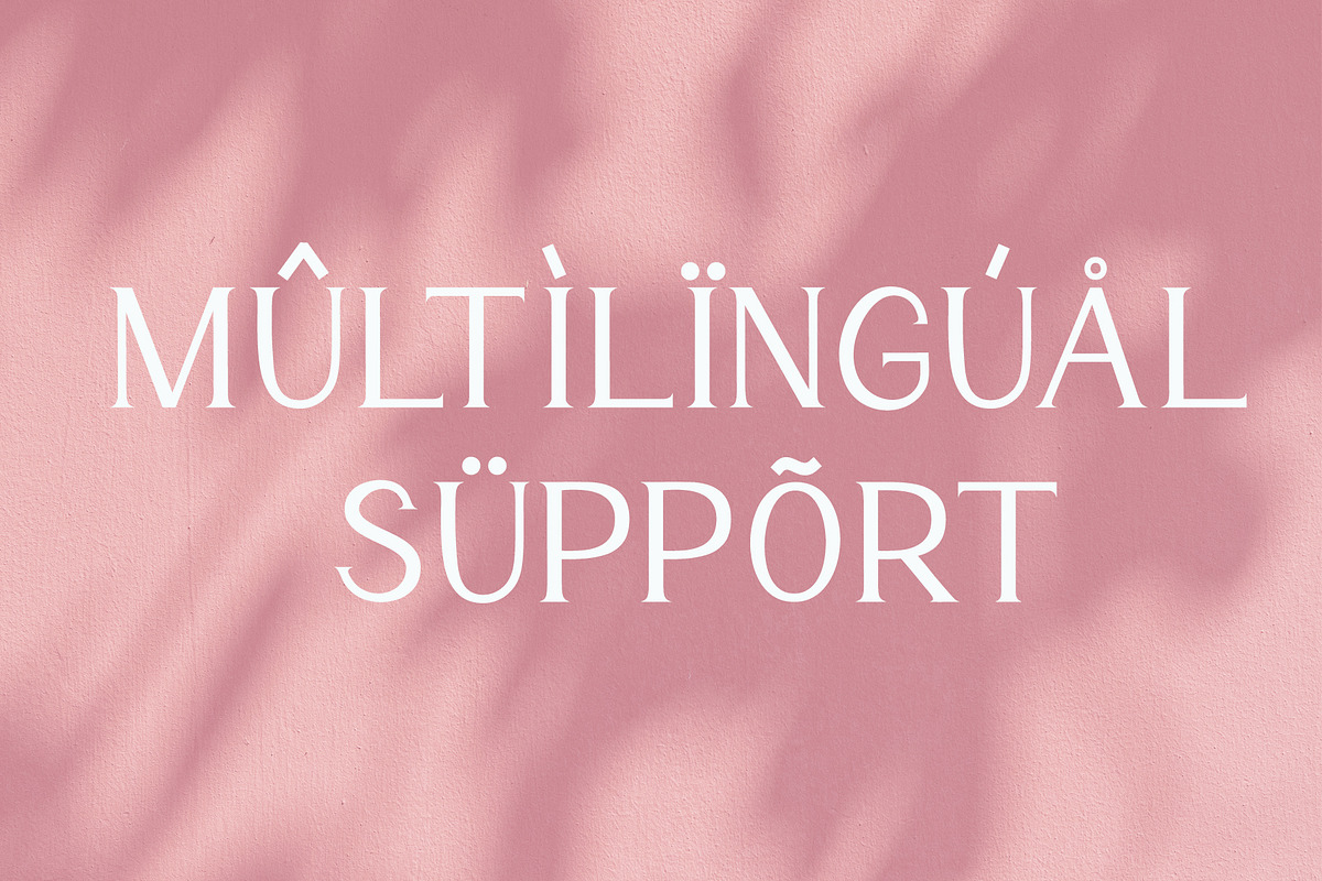 Monaline, a Serif Font by AEN Creative Studio (Photo 7 of 8)