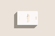 Small Box Mockup, a Packaging Mockup by WebAndCat (Thumbnail 34 of 40)
