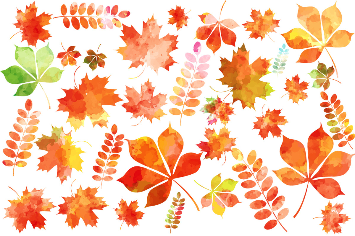 Set of autumn leaves+patterns., a Decorative Illustration by Della_Liner (Photo 2 of 8)