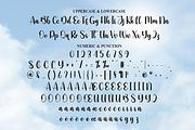 Shine | Script Font, a Handwritten Font by Scratchones (Thumbnail 7 of 9)