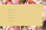 Elegantly - sans elegant font, a Font by DanieleFranchi (Thumbnail 6 of 13)