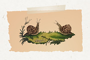 Vintage Mushrooms & Snails Clip Art, an Animal Illustration by Patterns for Dessert (Thumbnail 2 of 6)