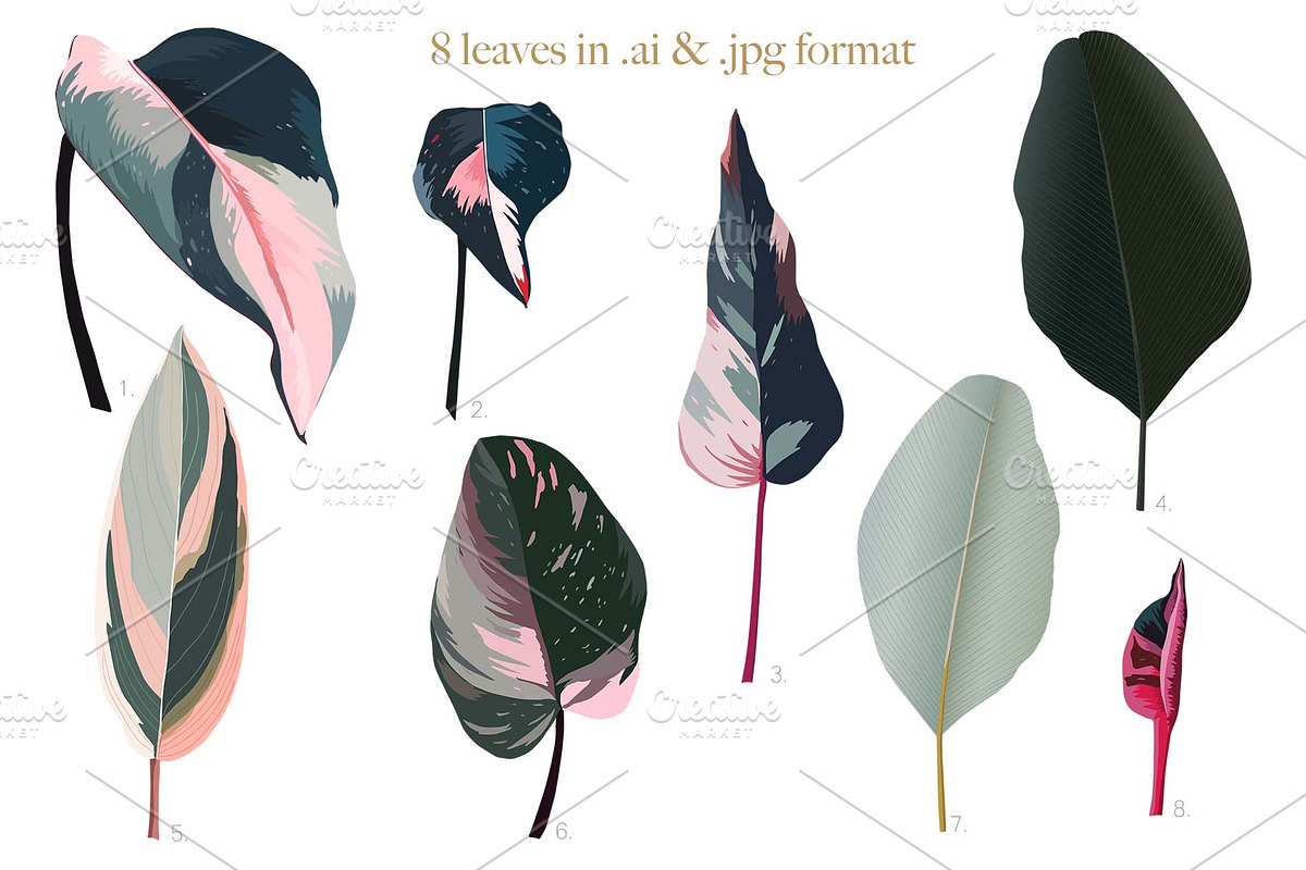 Pink tropical frames and patterns, an Illustration by marie dricot (Photo 12 of 15)