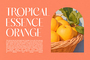 Marogis Elegant Sans Serif Font, a Sans Serif Font by timelesstype.co (Thumbnail 11 of 20)