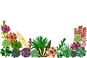 Succulents Bundle PNG + Patterns, an Illustration by Alexandra Fulger (Thumbnail 6 of 8)