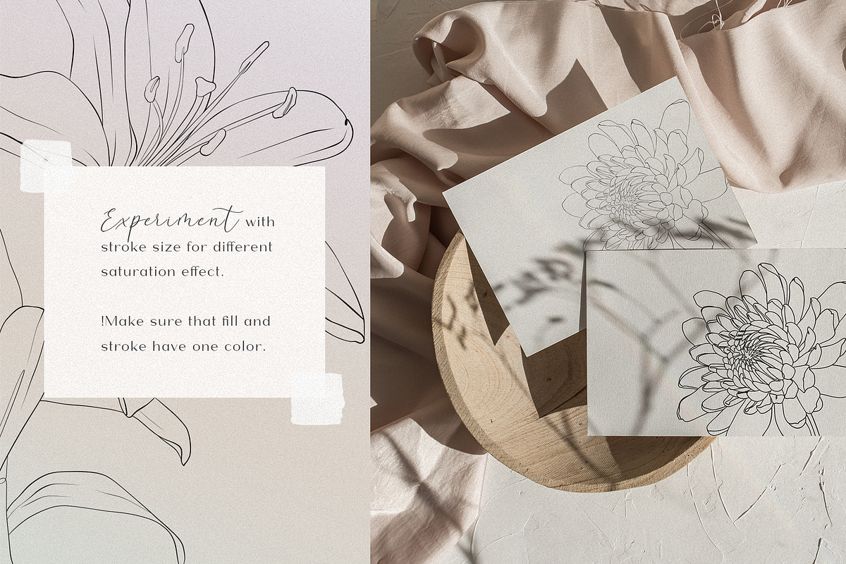 Blossom - floral line art, an Illustration by Anna.Klets (Photo 13 of 14)