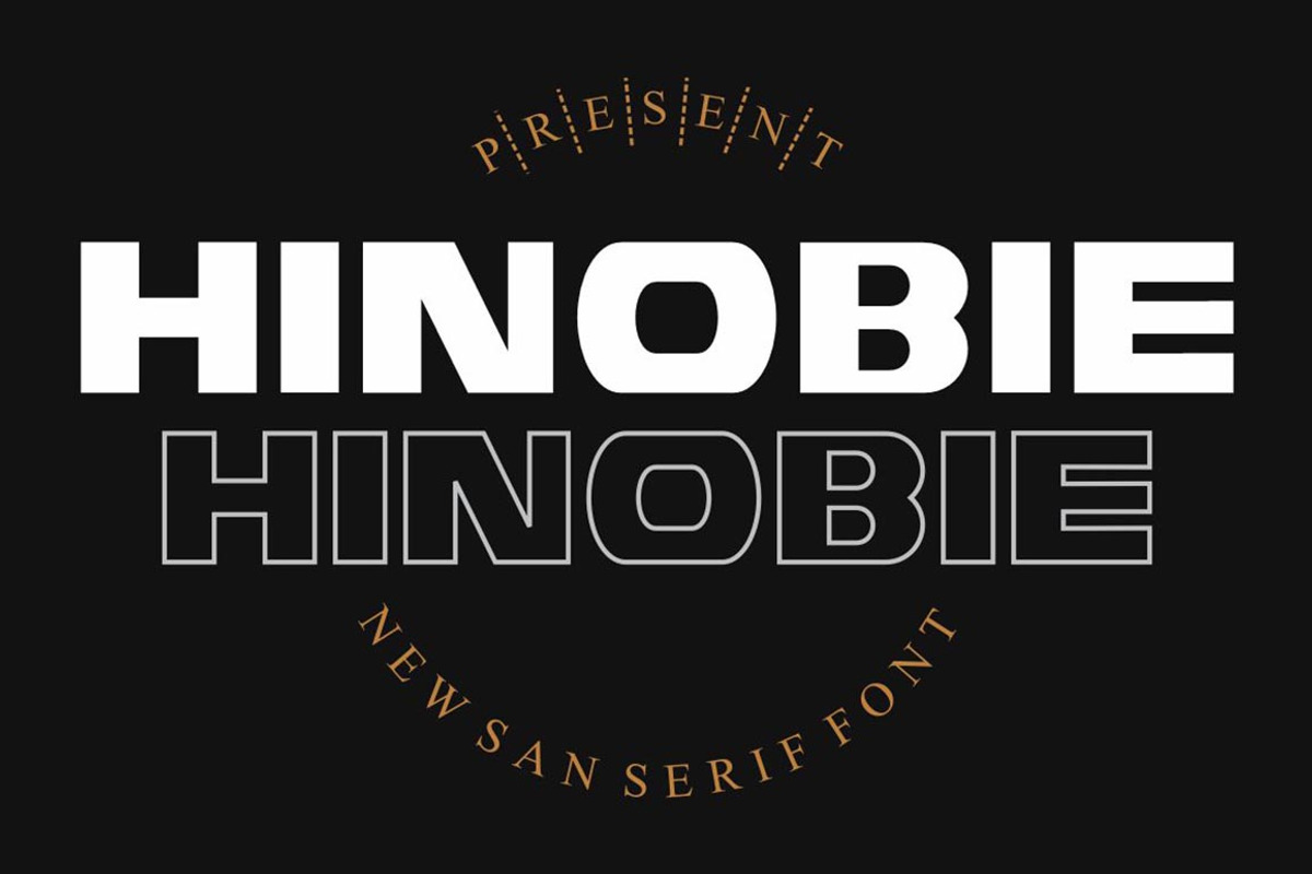 HINOBIE, a Sans Serif Font by Gatype (Photo 1 of 11)