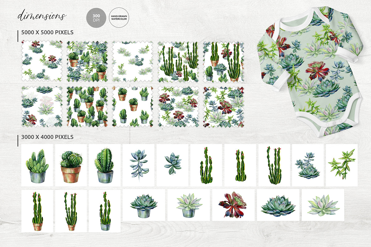 Cacti & Succulents, a Decorative Illustration by Anna Myslivets Art (Photo 8 of 9)