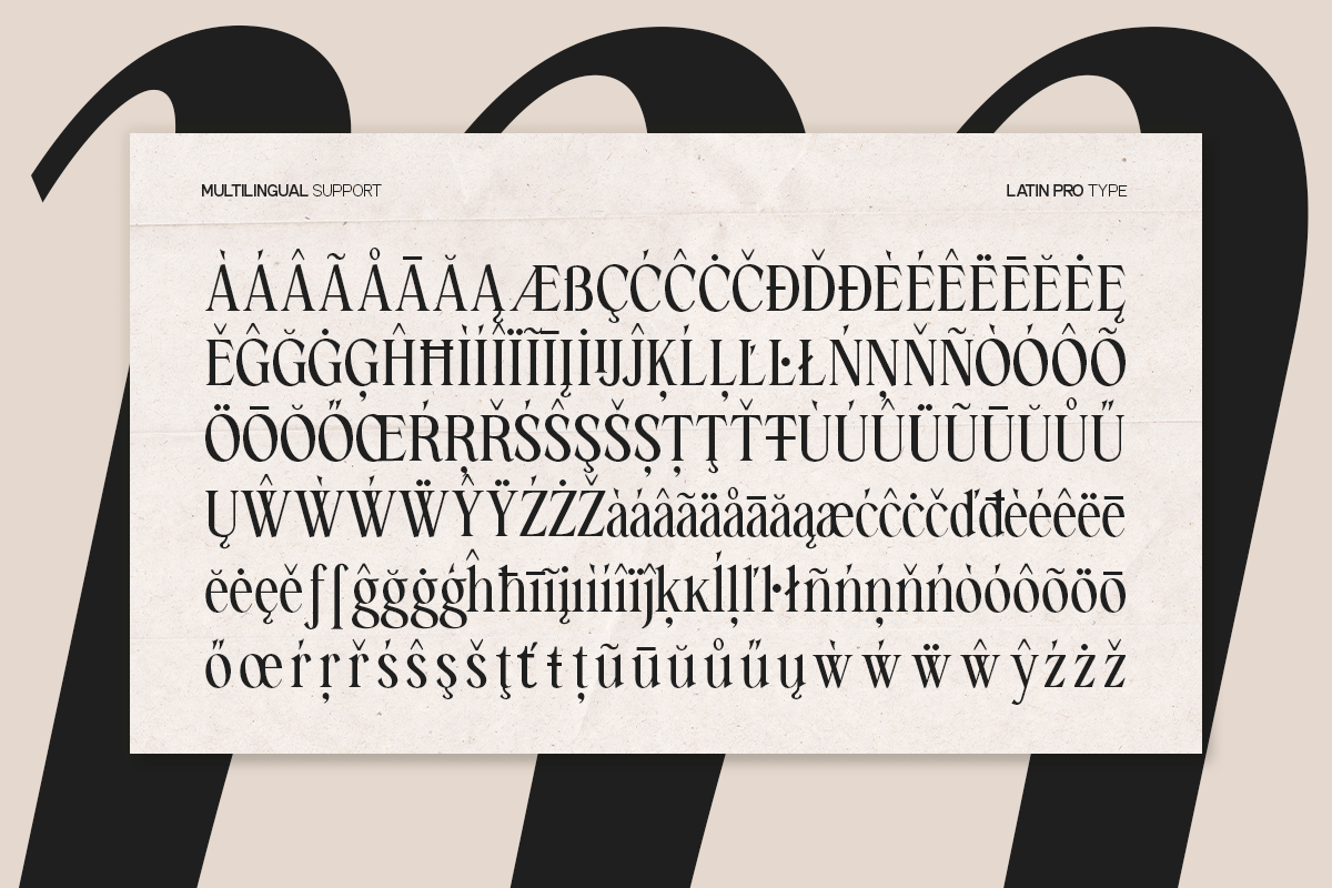GC Amelie Promised – Italic Serif, a Serif Font by Glyphonic (Photo 15 of 15)