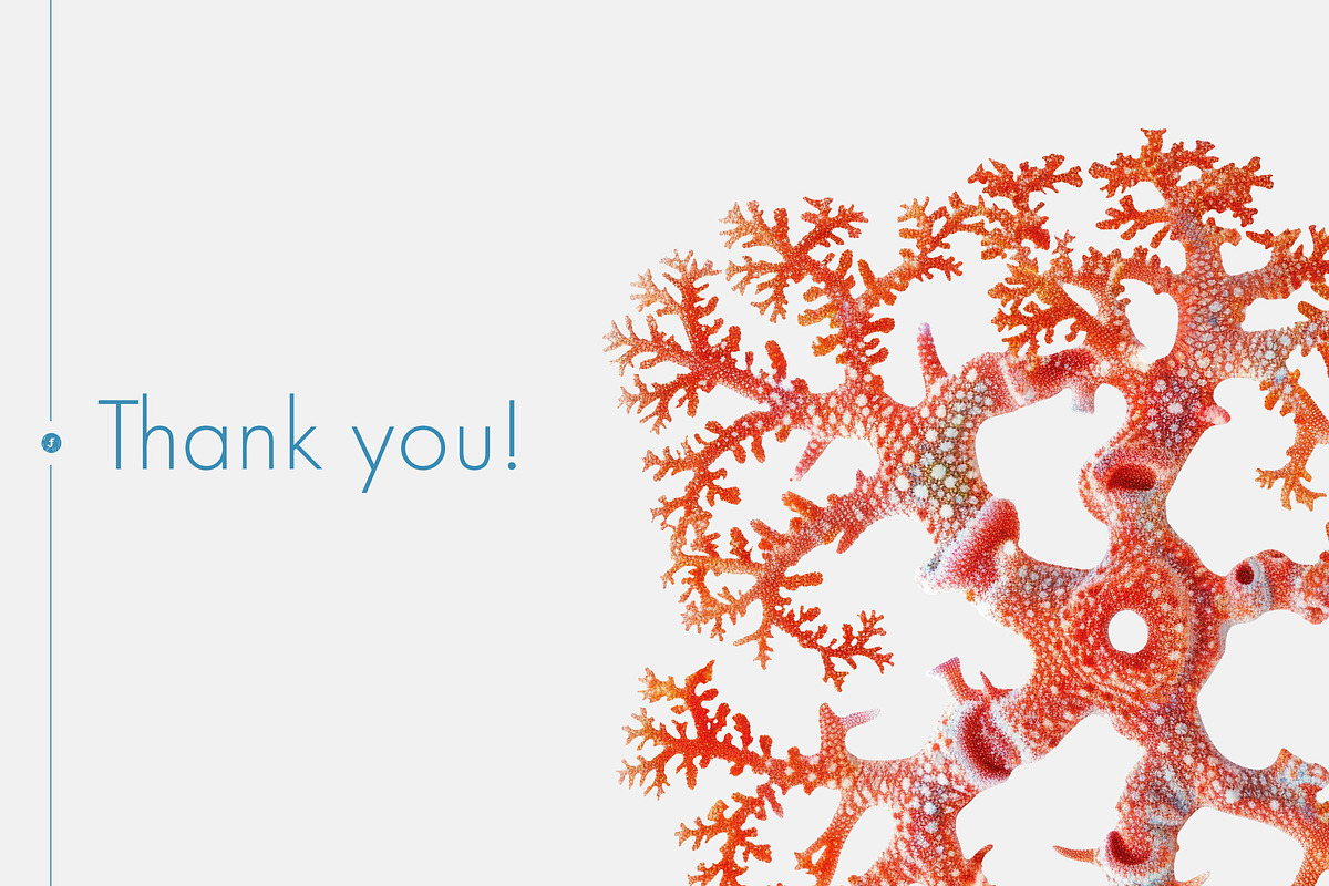 Fantastic Corals, an Object Graphic by Freezerondigital (Photo 10 of 10)