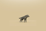 Low Poly Forest Animals Pack 1, an Animal 3D Model by Anton Moek (Thumbnail 8 of 12)