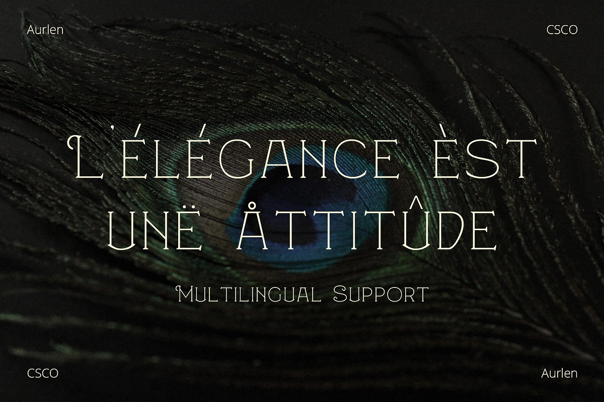 Aurlen – Elegant Serif, a Serif Font by Craft Supply Co. (Photo 3 of 8)