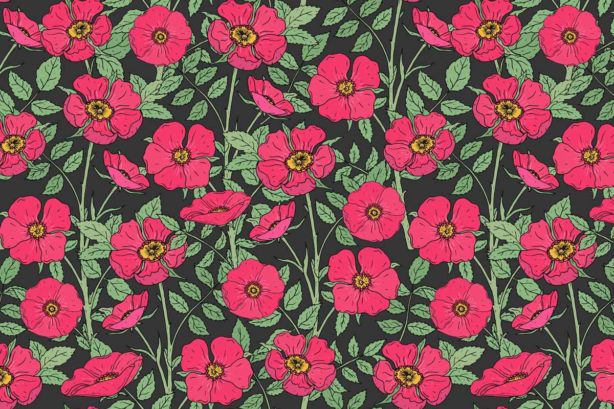 Dog-roses set and seamless pattern, a Decorative Illustration by Good Studio (Photo 4 of 9)