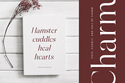 Hamster Modern Serif Font, a Serif Font by Letterena Studios (Thumbnail 9 of 15)
