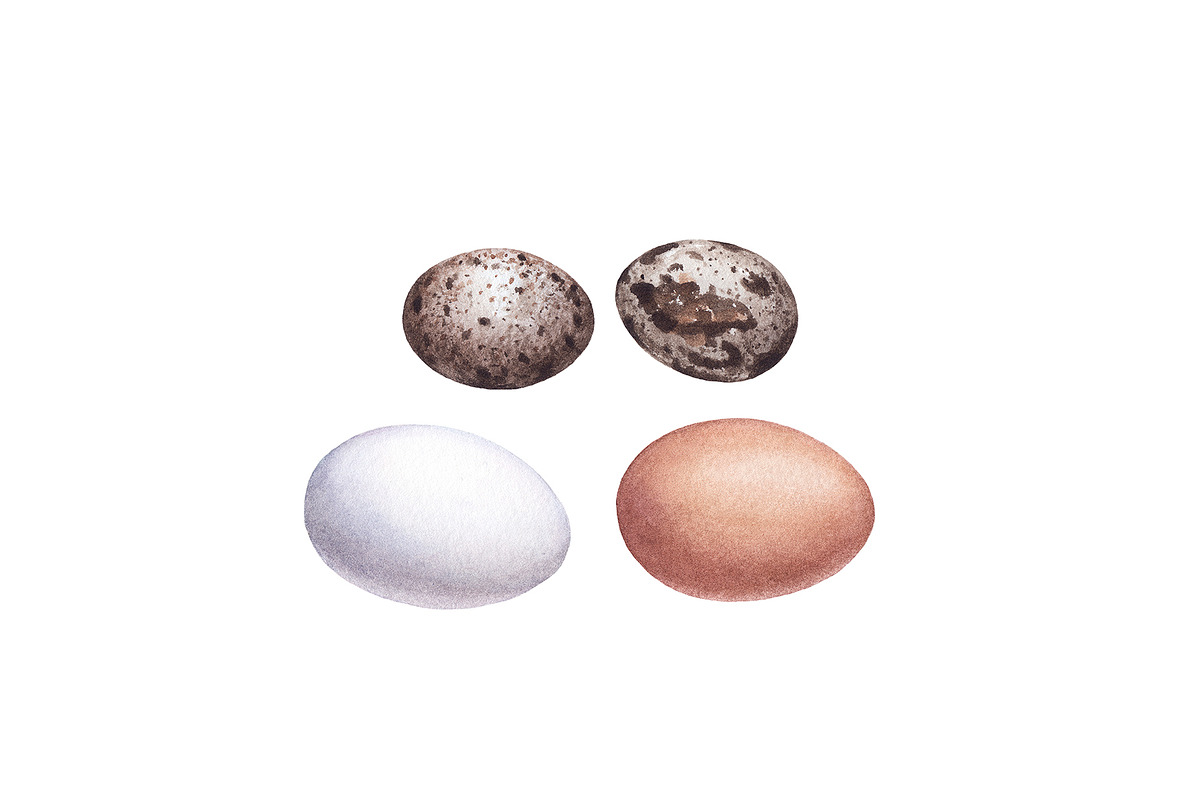 Watercolor organic food, a Food Illustration by Katya Zlobina (Photo 8 of 9)