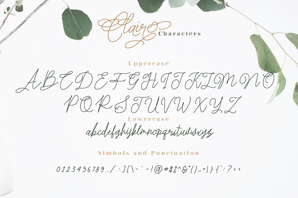 Claire Script, a Script Font by Masanis (Photo 13 of 14)
