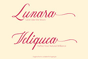 Dugora – Flourish Script Typeface, a Script Font by Arendxstudio (Thumbnail 3 of 10)