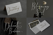 Elegant Font Bundle, a Font by Typoraith Co (Thumbnail 11 of 13)