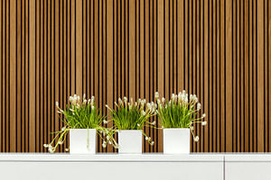 Modern interior with flower pots, an Architecture Photo by BOOCYS