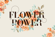 Sonder Serif Typeface - 5 weights, a Serif Font by VP Fonts (Thumbnail 2 of 9)
