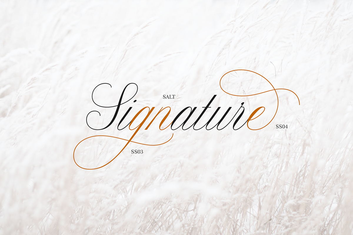 Claudya Script preview 6