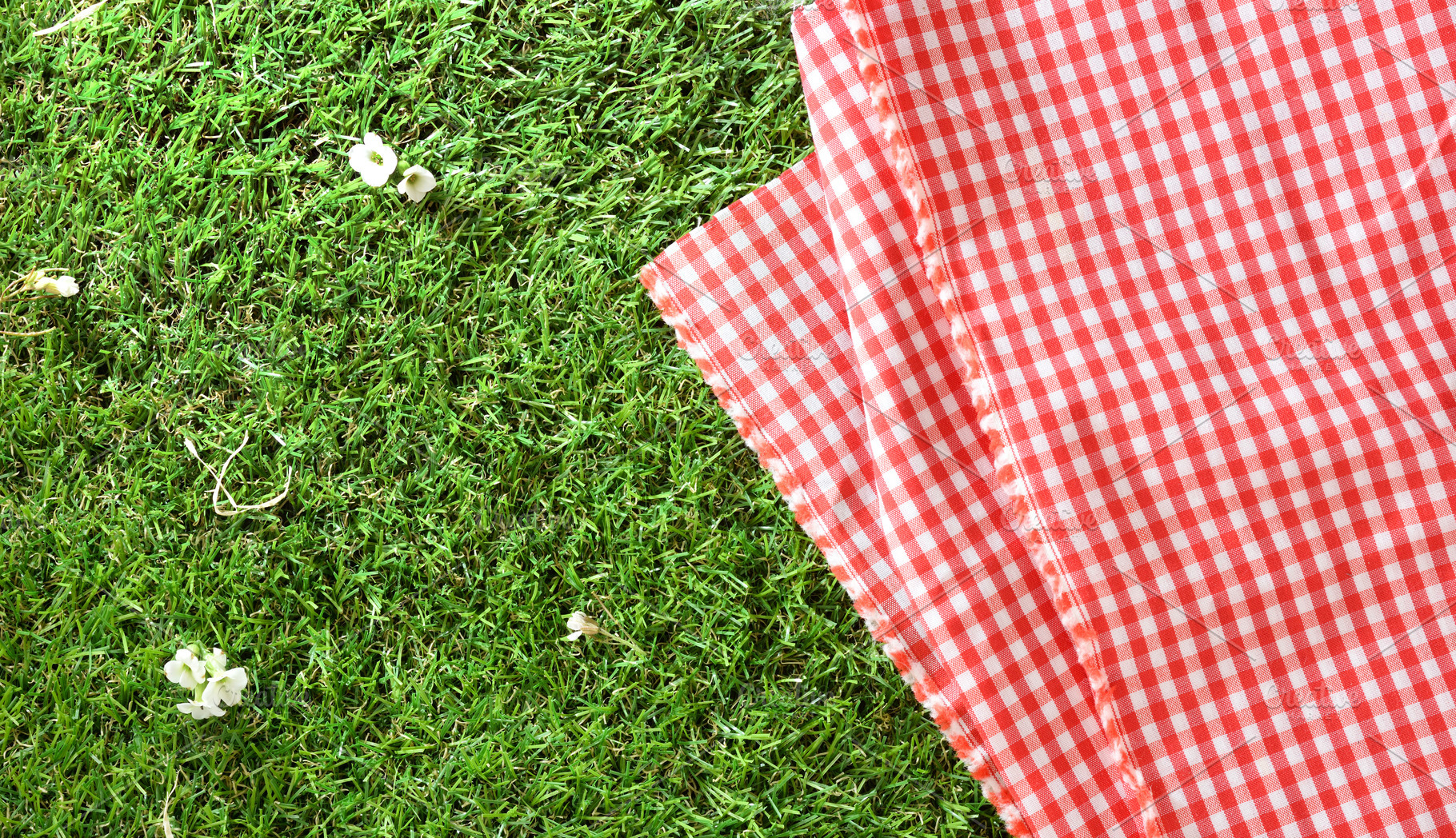 Red Gingham Blanket on Grass, a Holiday Photo by Davizro's Market