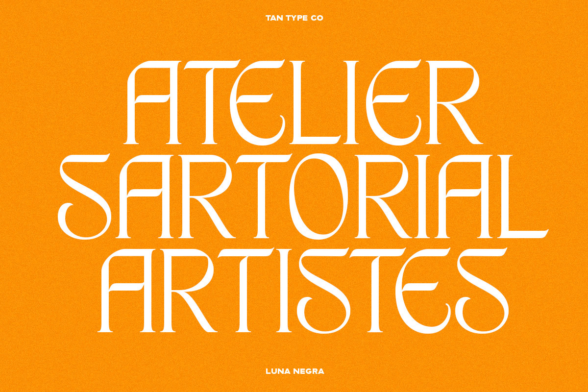 TAN - LUNA NEGRA, a Serif Font by TanType (Photo 3 of 16)